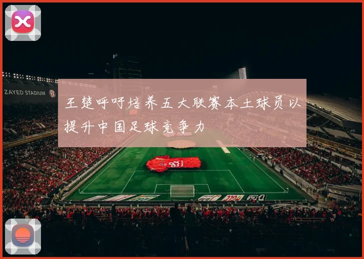王楚呼吁培养五大联赛本土球员以提升中国足球竞争力